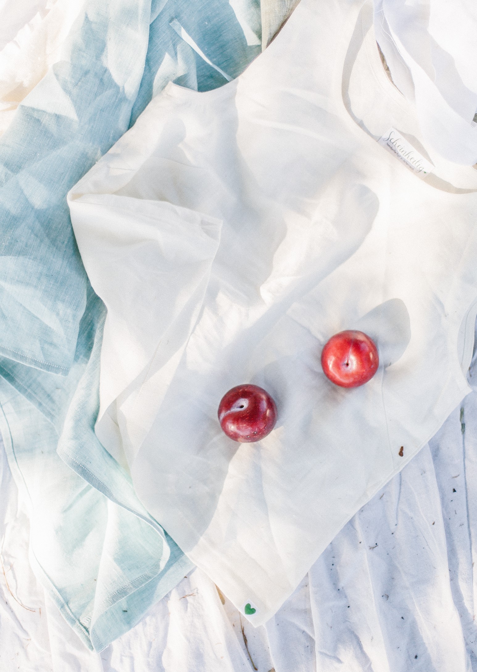 Top "Howea" – Bild 8